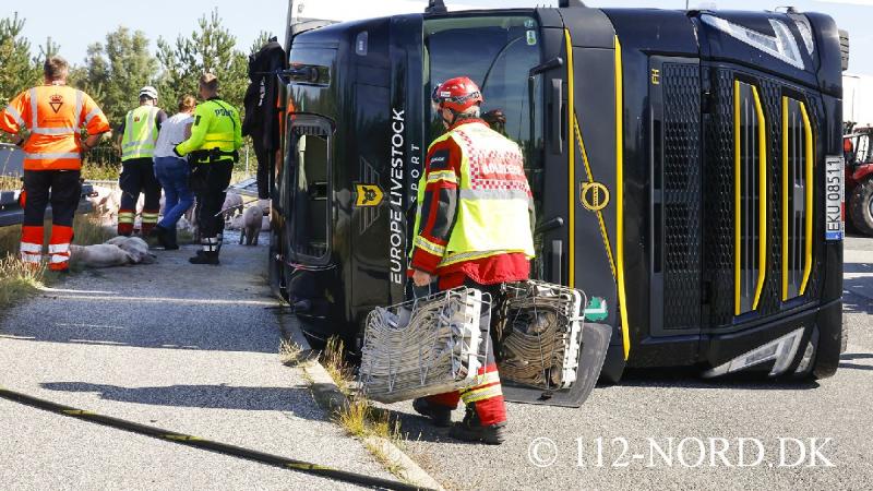 112-nord 24082026-grisetransport-vaelte_t2_55.jpg