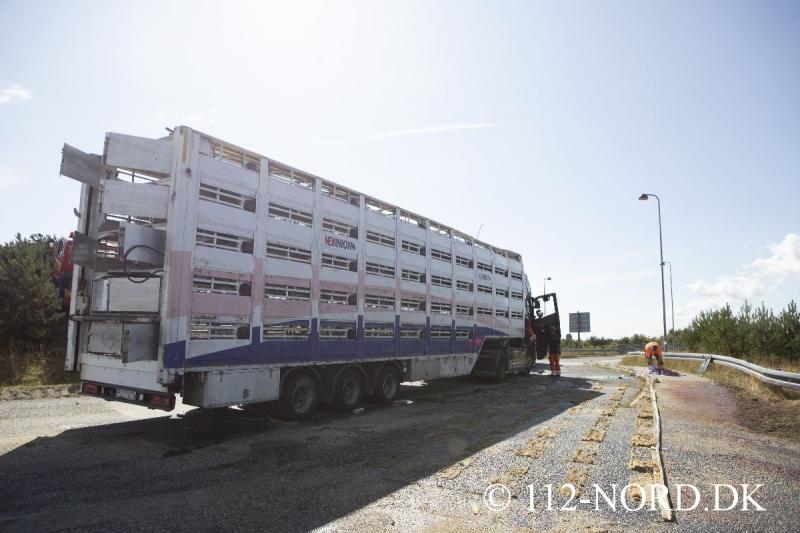 112-nord 24082026-grisetransport-vaelte_t2_71.jpg