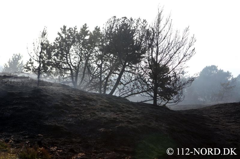 112-nord 3006201908_t2.jpg