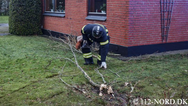 112-nord 2112202101_t2.jpg